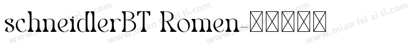 schneidlerBT Romen字体转换